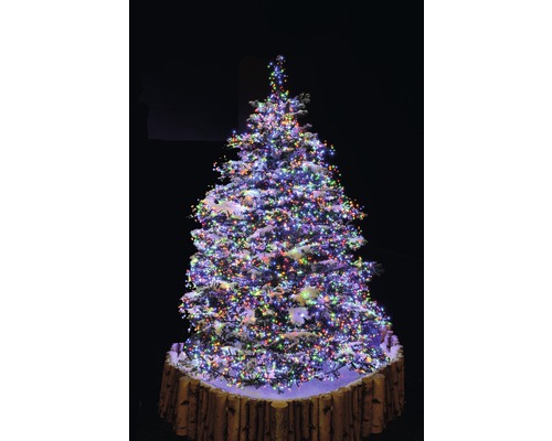 Kerstboom met veelkleurige verlichting en boomstandaard in houtlook