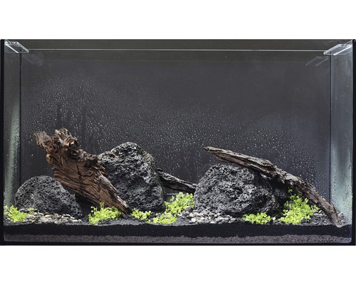 Gedecoreerd aquarium met stenen, grind, hout en planten