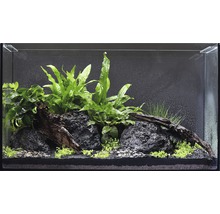 Decoratief aquarium met stenen, planten en wortelhout