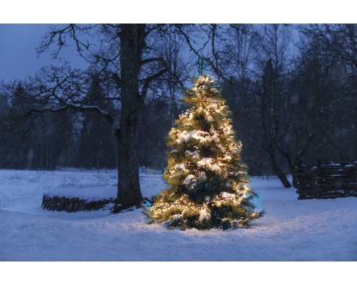 Versierde kerstboom in een besneeuwde buitenomgeving met verlichting