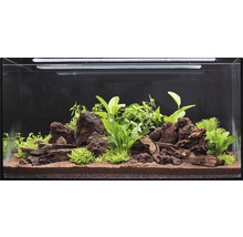 Aquarium gedecoreerd met stenen, hout en planten