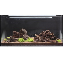 Ingericht aquarium met stenen, wortels, planten en bodemsubstraat