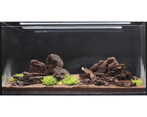 Ingericht aquarium met stenen, wortels, planten en bodemsubstraat