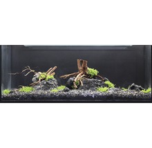 Ingericht aquarium met stenen, wortels en planten