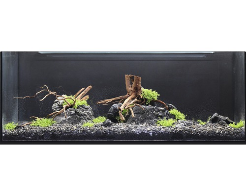 Ingericht aquarium met stenen, wortels en planten