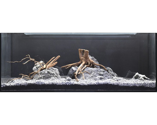 Decoratief aquarium met stenen, wortelhout en grind