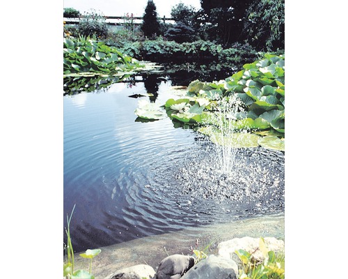 Vijver met waterlelies en fontein