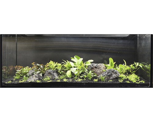 Ingericht aquarium met stenen en planten