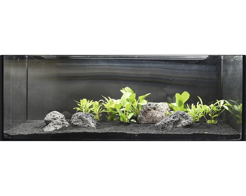 Ingericht aquarium met planten, lavastenen en bodembedekking