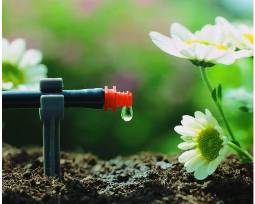 Druppelirrigatiesysteem in gebruik met waterdruppels en planten