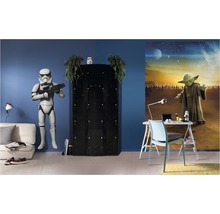 Gedecoreerde kamer met Stormtrooper figuur, kluisje, bureau en Yoda muurschildering