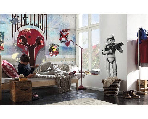 Gedecoreerde tienerkamer met Star Wars muurschildering, bed en leeshoek