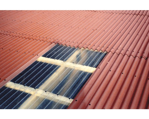 Dak met rode golfplaten en lichtdoorlatende platen