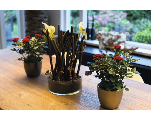 Arrangement van rode rozen en een plant met donkere stengels in potten op een tafel