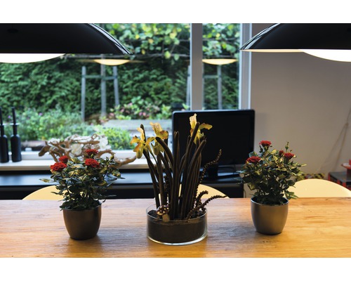 Decoratief arrangement op een tafel met rozen en orchideeën