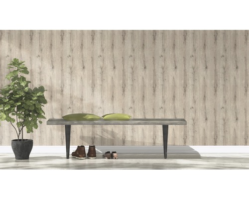 Scene met houten lambrisering, bank, decoratieve kussens, plant en schoenen.