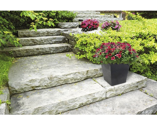 Buitentrap met bloemen in een pot