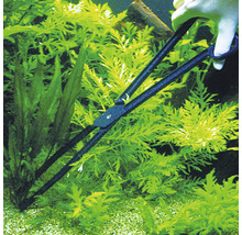 Aquariumplantentang voor het planten van waterplanten
