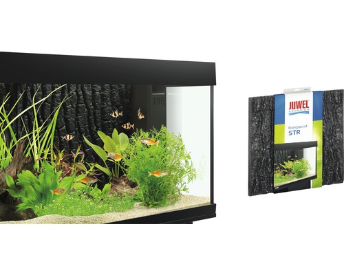 Juwel Aquarium achterwand Structuur met aquarium