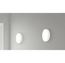 Twee ovale wandlampen voor binnenverlichting