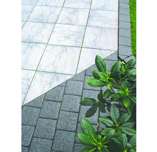 Tuinpad met lichte en donkere bestrating en planten