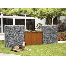 Tuinscene met schanskorven, een metalen plantenbak en een liggende hond
