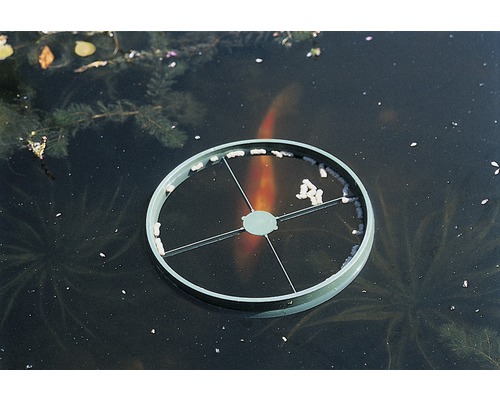 Voederring voor vijver met visvoer