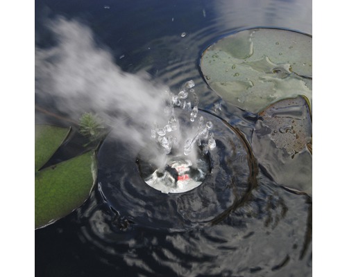 Vernevelaar in de vijver met waterlelies