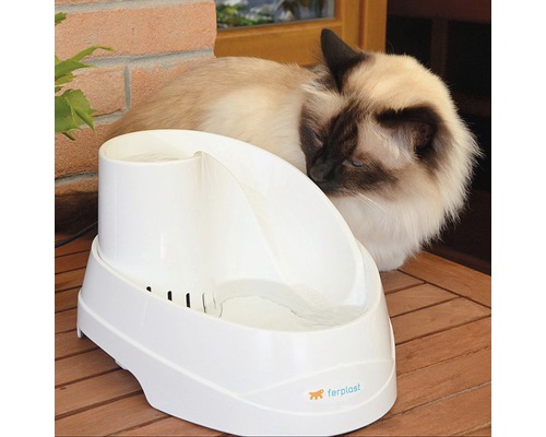 Witte drinkfontein voor katten met siamees