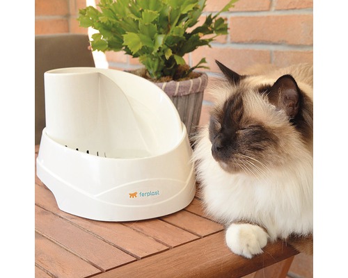 Witte voerautomaat voor katten naast een slapende kat en een potplant, Ferplast Logo