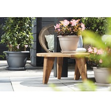 Scene met planten in plantenbakken en houten tafel op een terras
