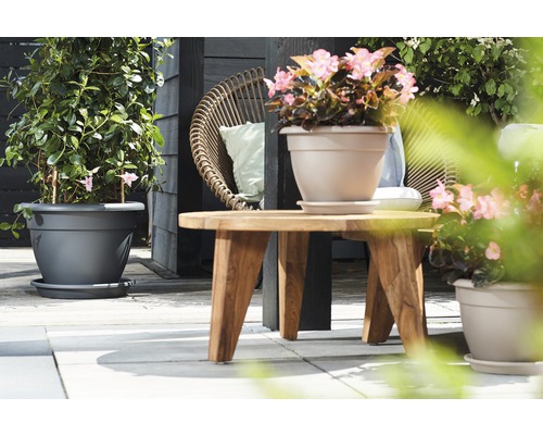 Scene met planten in plantenbakken en houten tafel op een terras