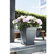 ELHO Plantenschotel universeel vierkant kunststof antraciet 20 cm