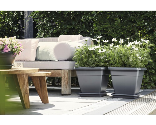 Twee vierkante kunststof plantenbakken met bloemen op een terras