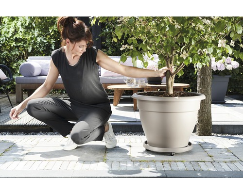 Vrouw hurkt naast grote plantenbak met boom in de tuin