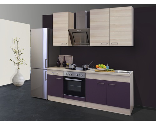 FLEX WELL Keukenblok met apparatuur Focus acacia en aubergine mat 210x60 cm