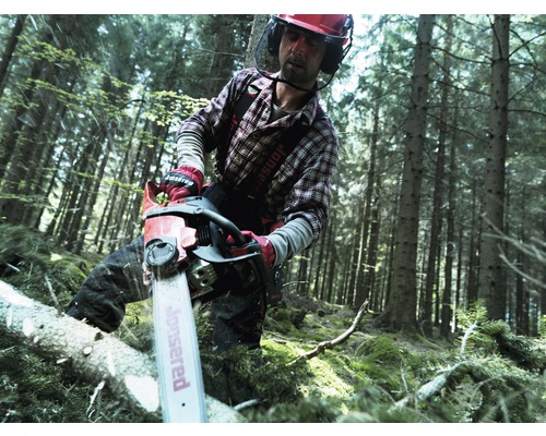 Een man werkt in het bos met een kettingzaag en draagt beschermende kleding.