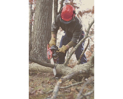 Een man gebruikt een kettingzaag om een tak te zagen in een bos.