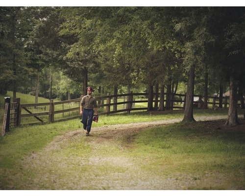 Man loopt met een kettingzaag over een pad.