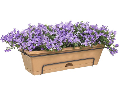 Bloembak met paarse klokjesbloemen op een zwarte houder