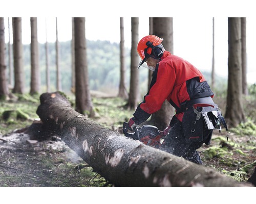 Bosarbeider zaagt met kettingzaag een boomstam in het bos.