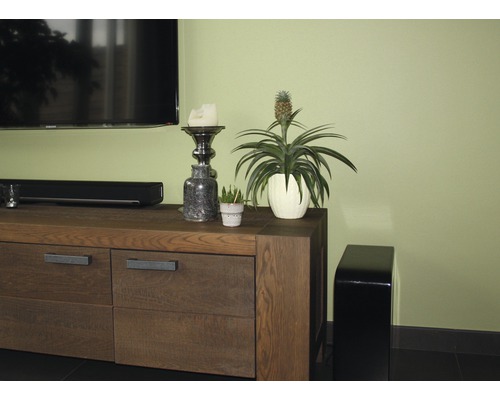 Woonkamerscène met tv-meubel, kamerplant en decoratie