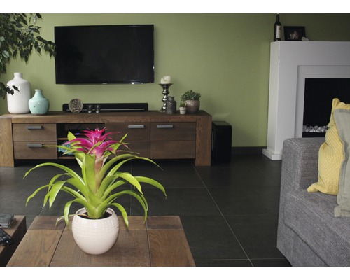 Woonkamer met tv, dressoir, kamerplant en open haard