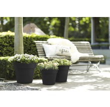 Drie plantenpotten met planten op een terras met een bank op de achtergrond.