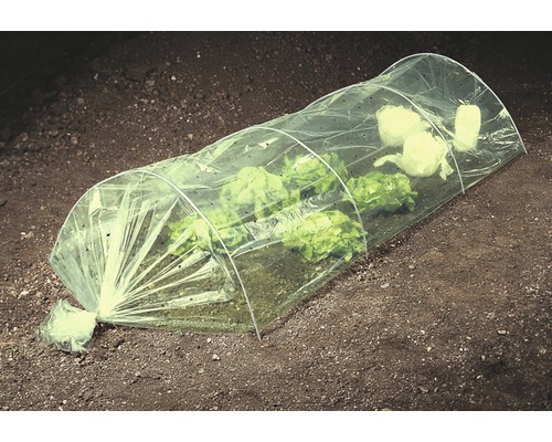 Kleine kas over slaplanten in de tuin