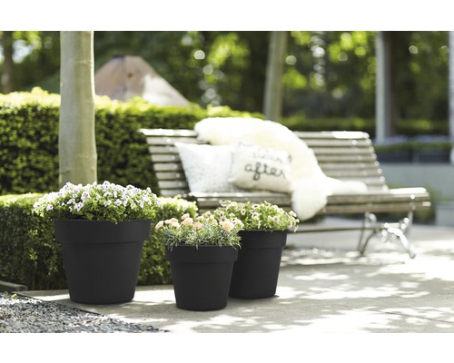 Drie beplante bloempotten in de tuin