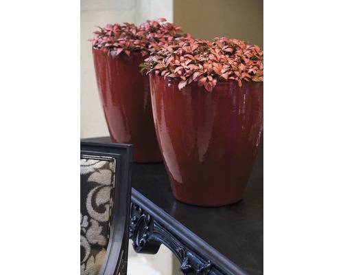 Twee plantenbakken met planten op een tafel