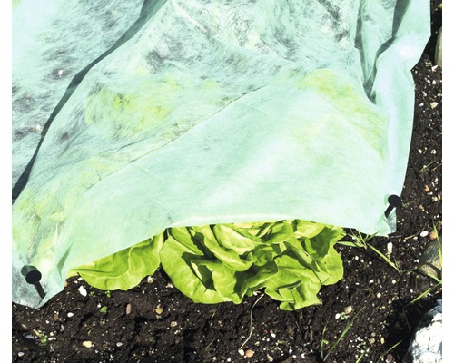 Slabed bedekt met vliesdoek in de tuin.