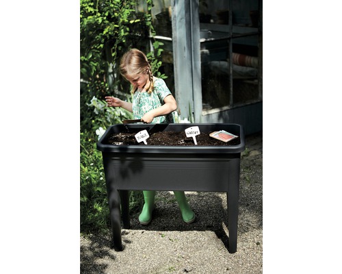 Een meisje tuiniert in een zwarte verhoogde tuinbak in de tuin en plant basilicum en wortelen.