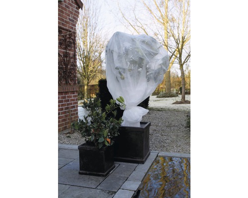 Twee planten in plantenbakken, waarvan één afgedekt met winterbeschermingsvlies.